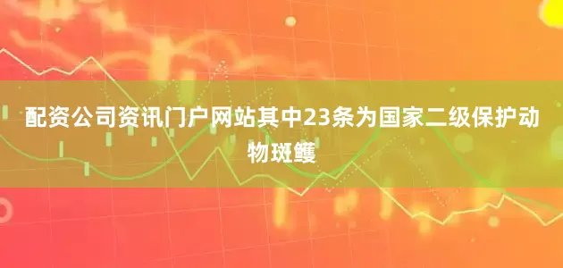 配资公司资讯门户网站其中23条为国家二级保护动物斑鳠