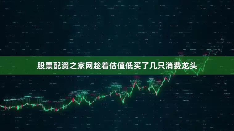 股票配资之家网趁着估值低买了几只消费龙头