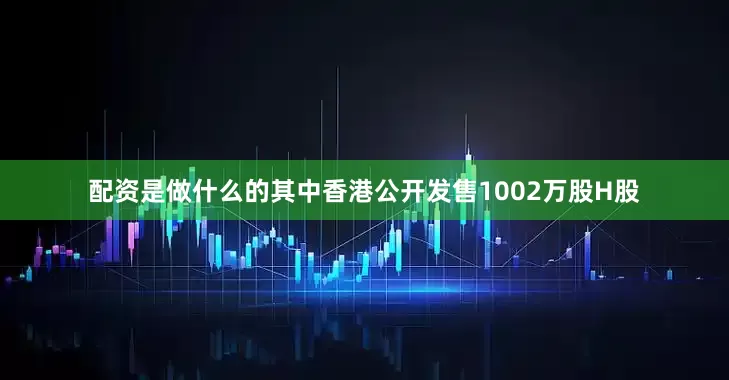 配资是做什么的其中香港公开发售1002万股H股